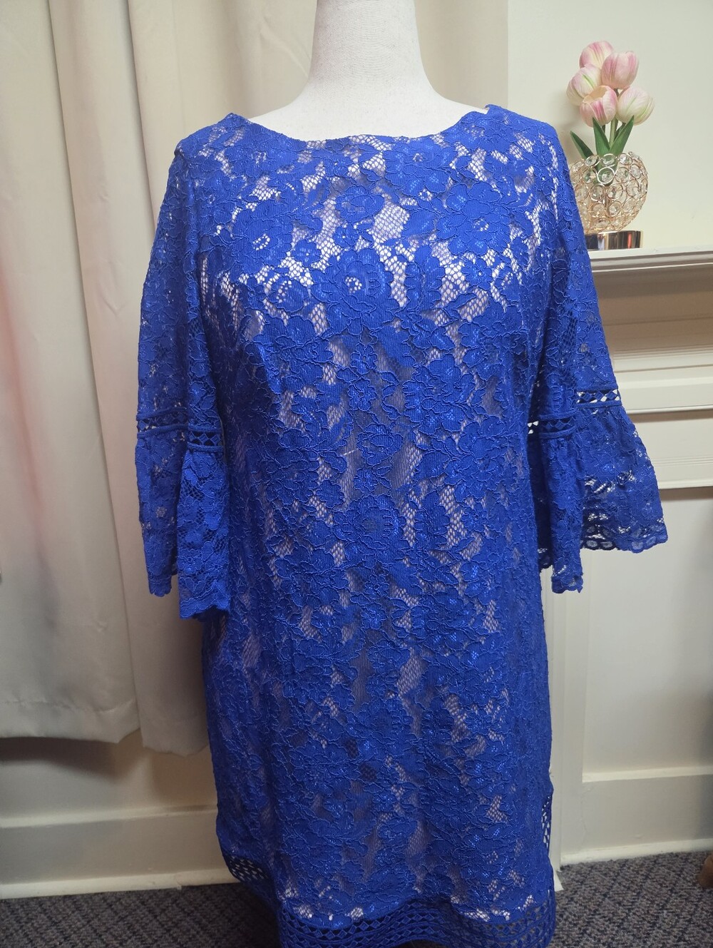Eliza J Royal Blue Lace Cocktail Dress
